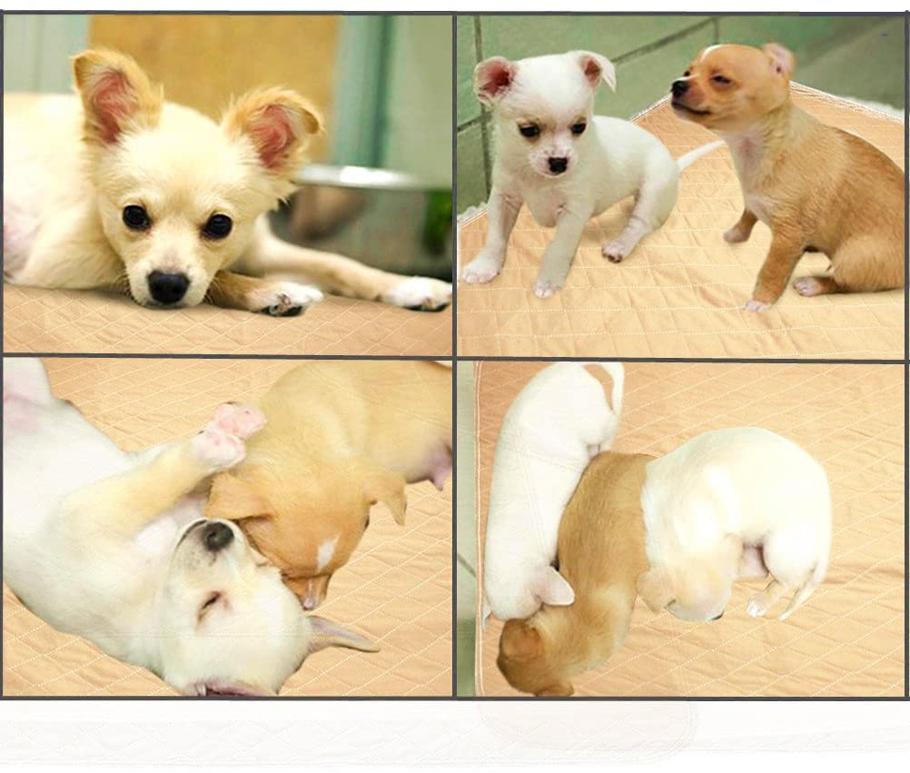 Beige Absorbent Puppy Pee Pads
