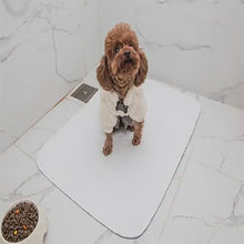 Load and play video in Gallery viewer, Reusable Dog Training Pads
