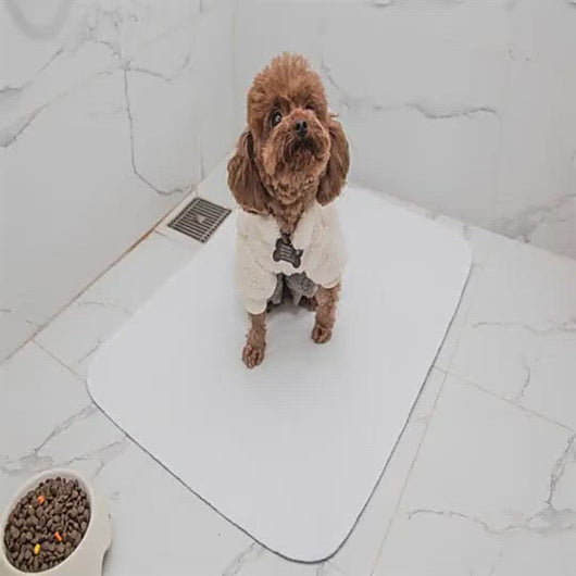 Reusable Dog Training Pads
