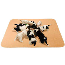 Load image into Gallery viewer, Beige Absorbent Puppy Pee Pads
