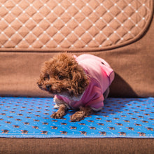 Load image into Gallery viewer, Blue Washable Puppy Pads
