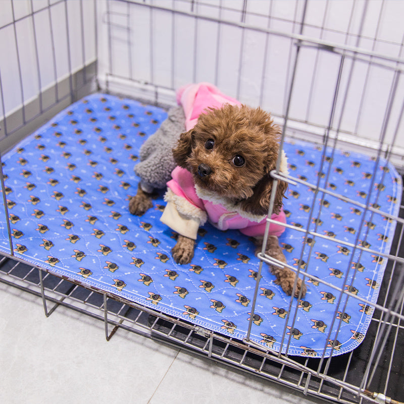 Blue Washable Puppy Pads