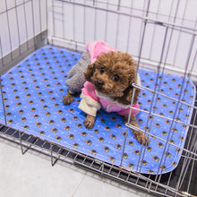 Load image into Gallery viewer, Blue Washable Puppy Pads
