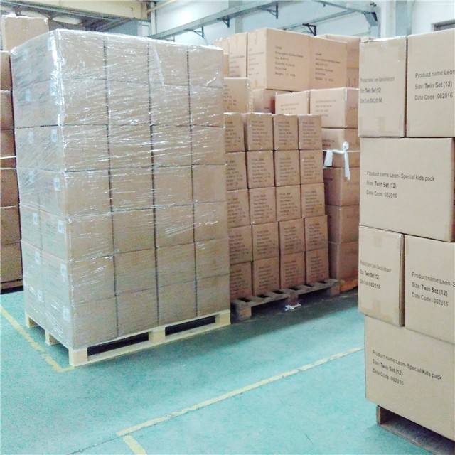 Puppy Pads Box Packing