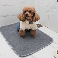 Load image into Gallery viewer, Fleece Potty Pee Pads Wholesale

