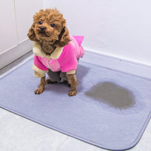 Load image into Gallery viewer, Fleece Pet Training Pads
