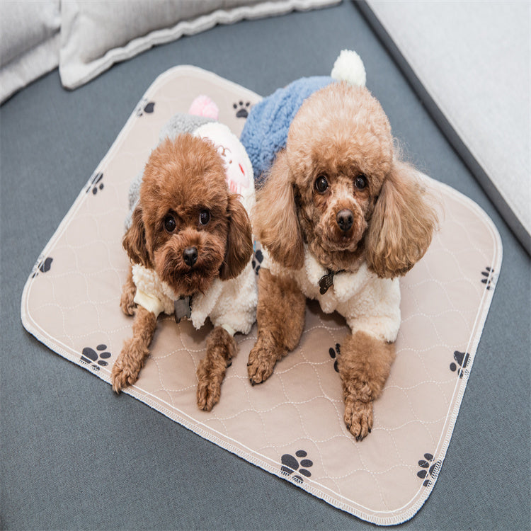 Pawprint Waterproof Puppy Pads