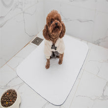 Load image into Gallery viewer, Reusable Dog Training Pads
